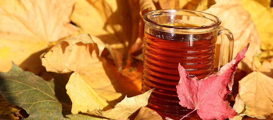 Maple syrup on a bed of leaves